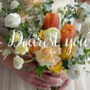 디어퐁퐁 이미지