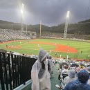 불꽃야구 이미지