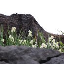 서포시장길 이미지