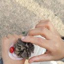 산림놀이 이미지