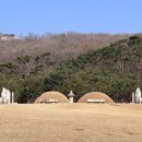 인헌약품 이미지