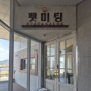 펫미팅 이미지
