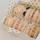 더마카롱 이미지