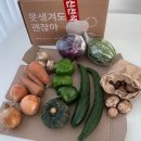 못난이 이미지