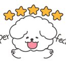 플레이 바우 이미지