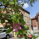 소능 경로당 이미지