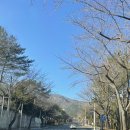 푸추간 이미지
