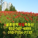 덕일체육관 이미지