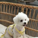 카페오솔길 이미지