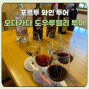 오렌지 은 약국 | [내돈내산/포르투 와인투어] 오다가다 도우루 밸리 투어 솔직 후기