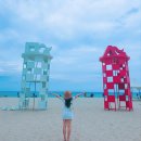 강릉제일오토 이미지