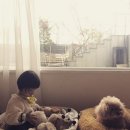 고모집 이미지