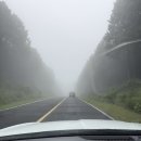 가보영농조합법인 이미지