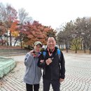 경험해 보지 못한 인천 롤러코스터~~ 이미지