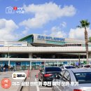 다음렌트카 | 제주도 렌트카 추천 제주공항 렌트카 쏘카 후기