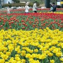 낙동강관리본부 화명생태공원 11 이미지