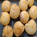 초일농장 이미지