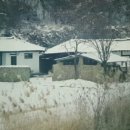 리틀포레스트스냅