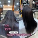 창원홈플러스 | 얼룩덜룩 해진 머리카락 염색 후기 박승철헤어스투디오창원홈플러스점