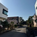 오엔스테이 | 제주 서귀포 숙소 성산 가성비 숙소 단체 가능 숙소 바베큐 수영장 보유 독채 오엔스테이
