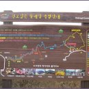 이천산수유마을 이미지