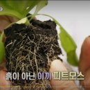 일신농장 네이버블로그