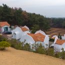 그람피하우스 이미지