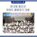 블루밍태권도 체육관 | [함안칠원읍태권도] 제12회 함안군 태권도 협회장기 대회 후기
