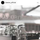 파이브센소(5senso)