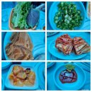 비포횟집 | 창원 마산 자연산 봄도다리회 맛집 추천! 가포 비포횟집 방문 후기