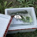 원터농장 이미지