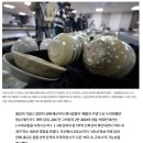 세곡-107 | 태안 마도 앞바다에서 현존하는 유일한 조선시대 선박 인양 + 마도 5호선 발견