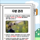 친환경고형미생물생산센터 | 양파·마늘 안정생산의 비~법