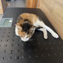 군산시-00943 이미지