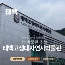 고생대자연박물관 | 태백여행 태백 아이와가볼만한곳 태백고생대자연사박물관