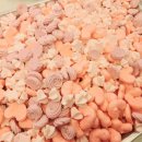 설몽당 - 고양시 덕양구 동헌로 440-31 | 설몽당