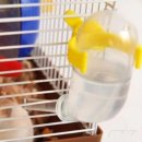 지앤와이 이미지