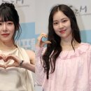 유미슈퍼 - 경주시 | 유미슈퍼