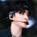 햄보케 이미지