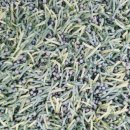 진보생활체육공원 이미지