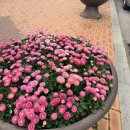 (주)동해관광 | [놀고먹기] 강원도 동해 당일치기 여행 / 거동탕수육 먹어본 후기 / 인생이 선택의 연속이라면, 지금은...