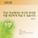 2026년 가해 연중 제12주간 금요일 이미지
