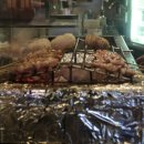 효심장의특수여객 | 신사역이자카야 야키토리요이야마 냉터뷰에서 있지 유나가 추천한 그 곳 신사술집