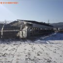 김화읍행정복지센터 이미지