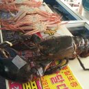 북삼읍사무소 이미지