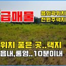 ﻿(급매물)경남고성부동산 - 읍외곽 통영시 가까운 위치 전원주택지매매 / 바닷가 걸어서 3분 이미지