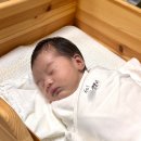 로하스베베 내돈내산 후기, 신생아 태열크림부터 내피크림까지 한달 사용해본 솔직 리뷰