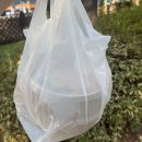 몽촌토성역 | 잠실 샐러드 맛집 몽촌토성역 오니샐러드 포장 후기