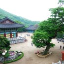 중랑경찰서 이미지