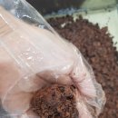 수수떡방 이미지